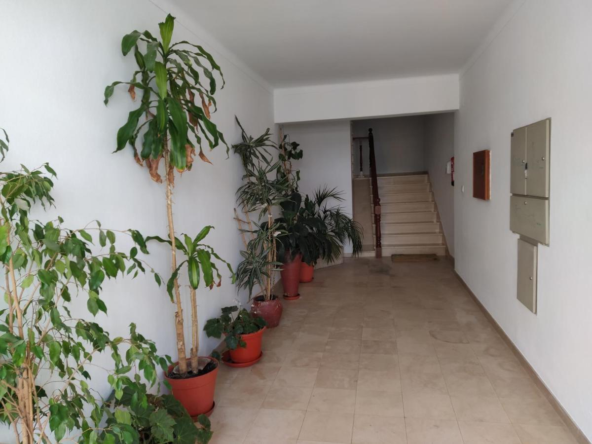 Apartamentos Bau-Doce Cercal do Alentejo Bagian luar foto