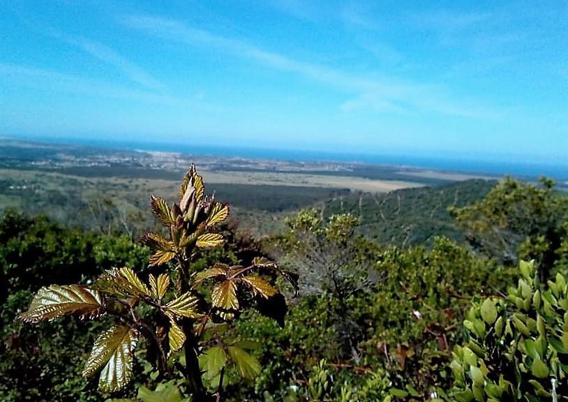 Apartamentos Bau-Doce Cercal do Alentejo Bagian luar foto
